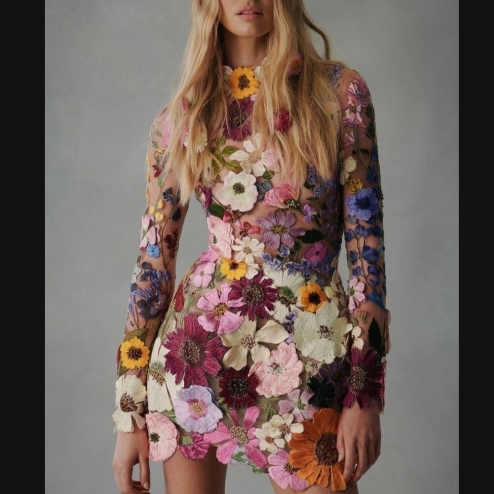 Floral Embroidered Sheer Dress